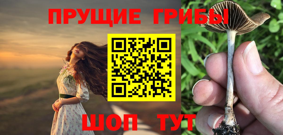 Галлюциногенные грибы Cubensis  Вход с VPN  где можно купить   Псилоцибиновые грибы ЛСД  Гусиноозёрск 